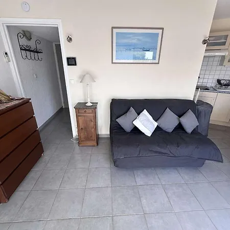 Apartament Climatise Pres De La Avec Piscine Et Parking, Port Camargue - Fr-1-731-101