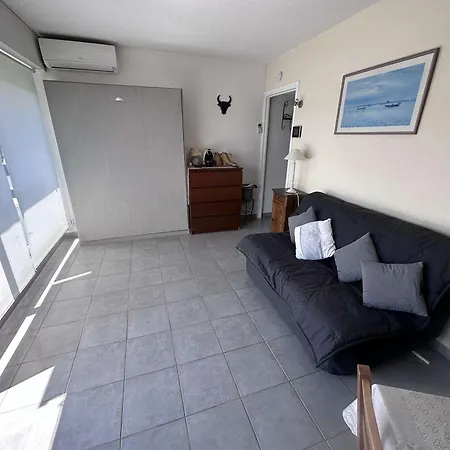 Climatise Pres De La Avec Piscine Et Parking, Port Camargue - Fr-1-731-101 Le Grau-du-Roi