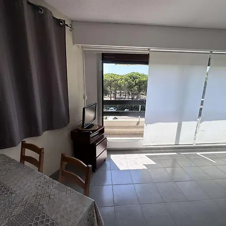 Climatise Pres De La Avec Piscine Et Parking, Port Camargue - Fr-1-731-101 Le Grau-du-Roi
