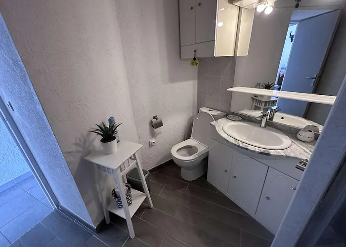 Climatise Pres De La Avec Piscine Et Parking, Port Camargue - Fr-1-731-101 公寓